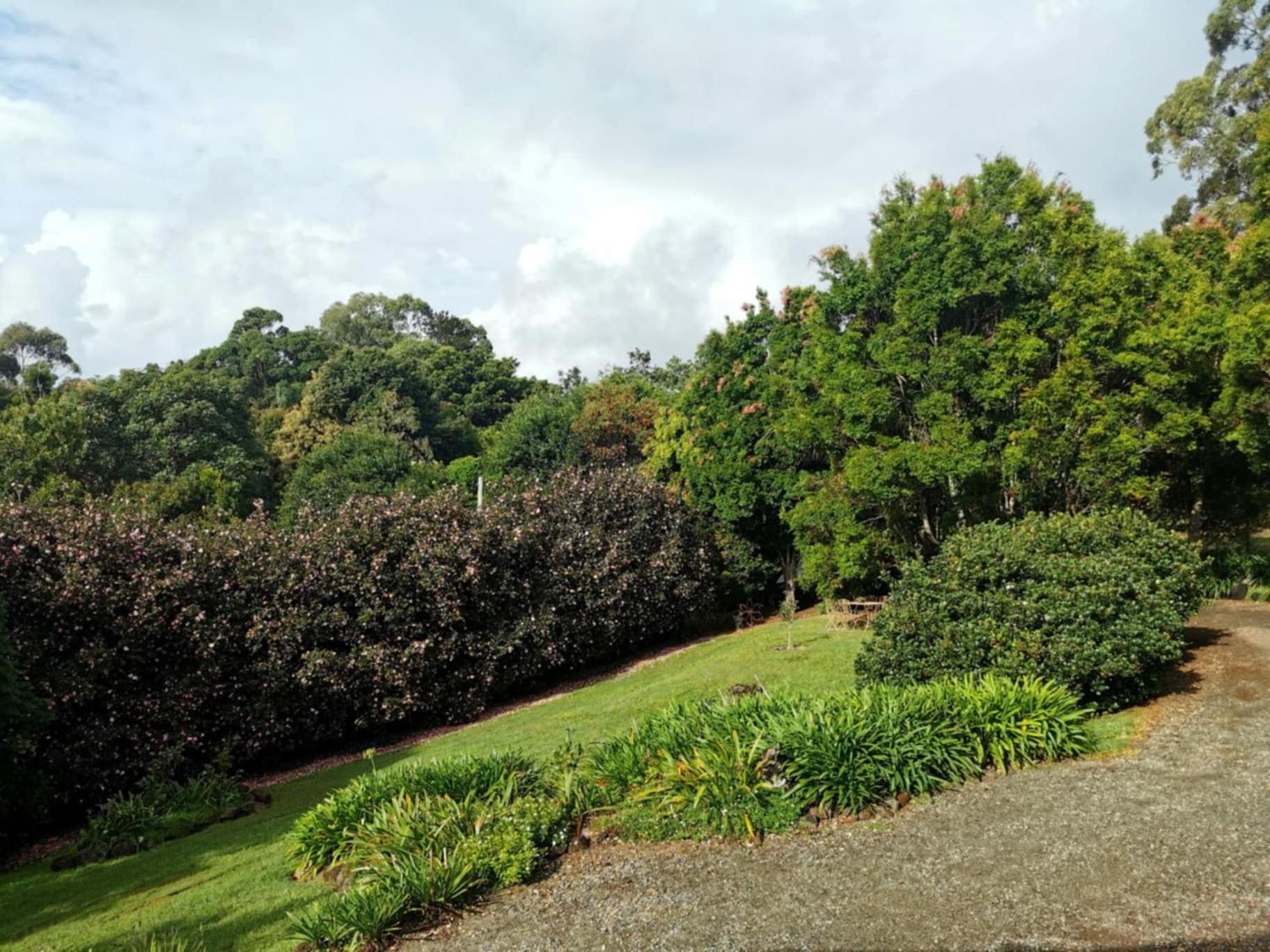 Wyndover Mountain Retreat Beechmont Exterior photo